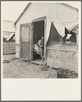 Refugee agricultural laborer on the roadside in Arizona, near the Casa Grande project (Farm Security Administration)