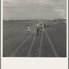 Farm Security Administration Casa Grande project, Arizona. Large-scale corporate farming by sixty-two families who divide profits. Children in this group came from eight different states