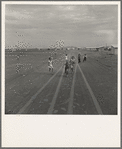 Farm Security Administration Casa Grande project, Arizona. Large-scale corporate farming by sixty-two families who divide profits. Children in this group came from eight different states