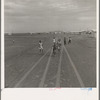 Farm Security Administration Casa Grande project, Arizona. Large-scale corporate farming by sixty-two families who divide profits. Children in this group came from eight different states