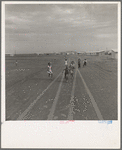 Farm Security Administration Casa Grande project, Arizona. Large-scale corporate farming by sixty-two families who divide profits. Children in this group came from eight different states