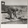 Young Negro wife cooking breakfast, outskirts of El Paso, Texas. "Do you suppose I'd be out on the highway cooking my steak if I had it good at home?" Occupations: hotel maid, cook, laundress