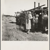 Migrant agricultural labor family. Tenant farmer with six children, refugees from Texas, near Wasco, California. "People just can't make it back there with drought, hailstorms, windstorms, duststorms, insects ..."