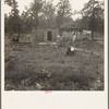 Slab house in clearing east of Atoka, Oklahoma. Atoka County