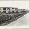 Chandler project, Farm Security Administration, Arizona. A housing project for seasonal agricultural workers