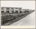 Chandler project, Farm Security Administration, Arizona. A housing project for seasonal agricultural workers