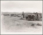 Cotton picker's camp, Salt River Valley, Arizona. For many refugees from the Southwest, Arizona is a stopping point on the way to California, where money can be made during the cotton harvest with which to continue the journey