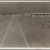 Casa Grande project (Farm Security Administration), Arizona. Large scale-corporate farming by sixty-two families who divide the profits. Most of them are from Oklahoma and Texas. They get to where the land wouldn't make them anything so they left and came out here. Many were on Work Projects Administration