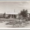 Glendale project (Farm Security Administration), Arizona. One of the twenty-four homes on the part-time farm project