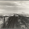 Southern Arizona, June 1938