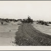 Leveling hummocks in dust bowl, thirty miles north of Dalhart, Texas. Farmer: "Every dime I got is tied up right here. If I don't get it out, I've got to drive off and leave it. Where would I go and what would I do? I know what the land did once for me, maybe it will do it again." Son: "It would be better if the sod had never been broke. My father's broke plenty of it. Could I get a job in California?"