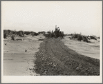 Leveling hummocks in dust bowl, thirty miles north of Dalhart, Texas. Farmer: "Every dime I got is tied up right here. If I don't get it out, I've got to drive off and leave it. Where would I go and what would I do? I know what the land did once for me, maybe it will do it again." Son: "It would be better if the sod had never been broke. My father's broke plenty of it. Could I get a job in California?"