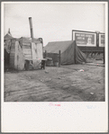 Squatter camp on the flat where families live during the orange picking season. Near Porterville, California