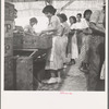 Women packing apricots in large open sheds adjoining the orchards. Brentwood, California