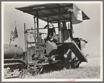 Combine harvester in California. Wheat field. San Joaquin Valley