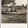 Pressing cane for sorghum. The extracted juice is then boiled. Near New Carthage, Mississippi