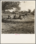 Pressing cane for sorghum. The extracted juice is then boiled. Near New Carthage, Mississippi