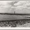 Cattle range on the high plains of the Texas Panhandle