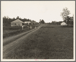 Delta cooperative farms in 1938. Hillhouse, Mississippi