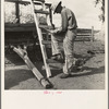 Small cotton farmer stays at the wagon and keeps account of the weight of each sack brought in by pickers from the field. Kern County, California