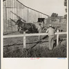 Farm Security Administration rural rehabilitation client, Tulare County, California, consulting with county supervisor. He and his family of seven were on relief. He had lost his arm on a construction project