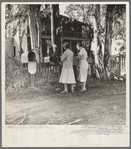 Morning mail at the Mineral King cooperative farm, Farm Security Administration, Tulare County, California. Old ranch house, California type, in the background. Buildings will be replaced by modern structures suitable to community farming