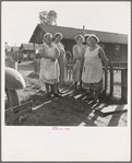 On the Mineral King cooperative farm. Tulare County, California