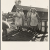 On the Mineral King cooperative farm. Tulare County, California