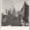 Orange pickers camp, Farmersville, Tulare County California. Rent: one dollar per week