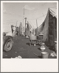 Orange pickers camp, Farmersville, Tulare County California. Rent: one dollar per week