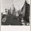 Orange pickers camp, Farmersville, Tulare County California. Rent: one dollar per week