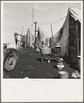 Orange pickers camp, Farmersville, Tulare County California. Rent: one dollar per week