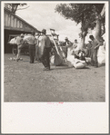 Migratory cotton pickers on small cotton farm, Kern County, California. They are paid senty-five cents per one hundred pounds of picked cotton