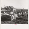 Farmyard of rural rehabilitation client. Tulare County, California