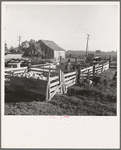 Farmyard of rural rehabilitation client. Tulare County, California