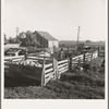Farmyard of rural rehabilitation client. Tulare County, California