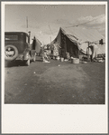 Auto camp which rents tent space where migrant citrus workers live. Tulare County, California