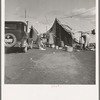 Auto camp which rents tent space where migrant citrus workers live. Tulare County, California