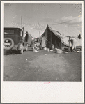 Auto camp which rents tent space where migrant citrus workers live. Tulare County, California