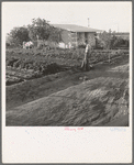 Type house at Garden Homes, Arvin (Kern County) California. This is an Farm Security Administration housing project for low income farm workers. Rent of eight dollars and twenty cents monthly includes electricity and water