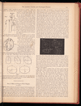 The jewelers' circular and horological review