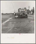 Sunday morning, Kern County, California. Many Texans, Oklahomans, Arkansans are settling in this country. Their cultures and forms of religious expression are being transferred with them