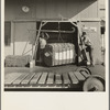 Weighing baled cotton as it leaves the gin. Kaweah Delta Cooperative gin, Tulare County, California