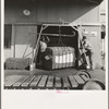 Weighing baled cotton as it leaves the gin. Kaweah Delta Cooperative gin, Tulare County, California