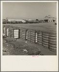 Kaweah Delta Cooperative gin and yard. There are three such cooperatives in the southern California cotton industry. Tulare County, California