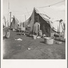 Orange pickers' camp. Tulare County, California. Rent one dollar per week