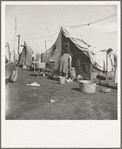 Orange pickers' camp. Tulare County, California. Rent one dollar per week