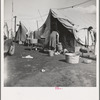 Orange pickers' camp. Tulare County, California. Rent one dollar per week