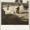 Weighing cotton. Kern County, California