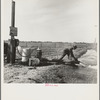 Irrigation pump on edge of field. Electric power typical of San Joaquin Valley farming. California